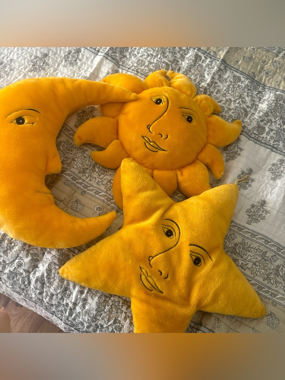 Vintage Celestial Salamander Graphix Pillow Set